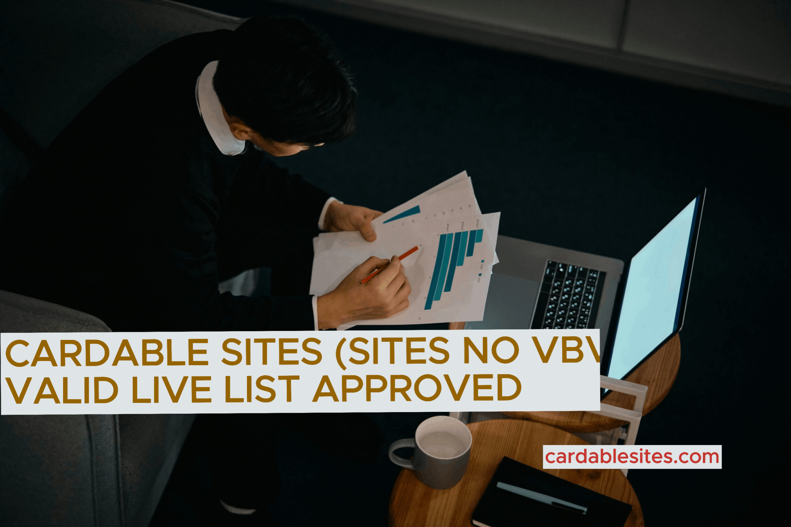 this is the list of Cardable sites that are card-able and non-VBV with a description and some payment limits